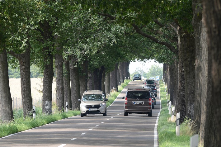 Die Allee verzeiht keine Fahrfehler Jeder vierte Todesfall auf Landstraßen nach Baumkollision