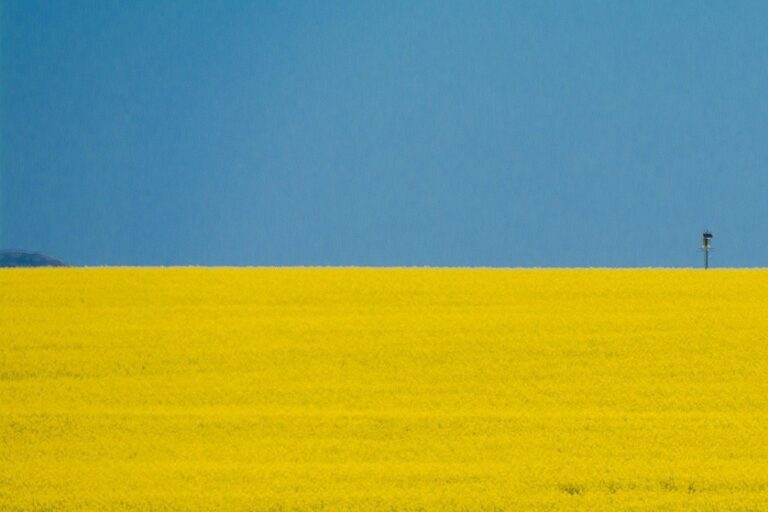 Keine Vermittlungsgebühr für Ukraine-Flüchtlinge
