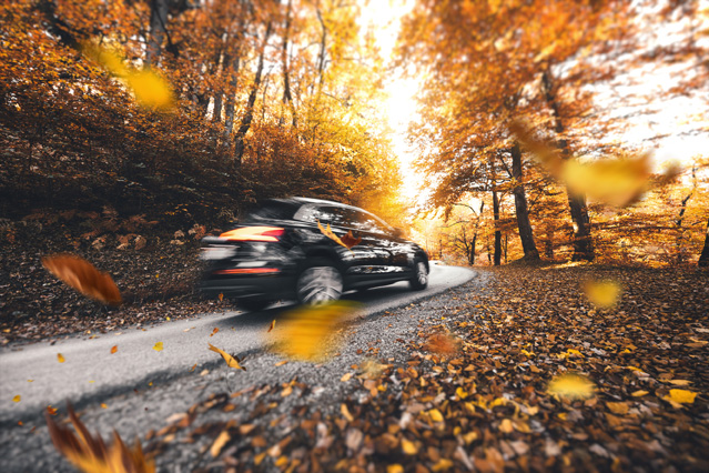 Herbstliches Autofahren: Wichtige Tipps von ERGO Versicherung für Verbraucher