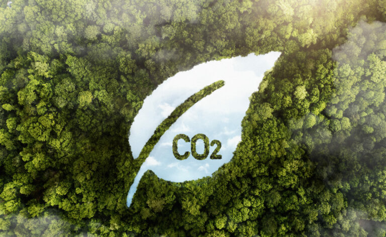 Die umweltfreundliche Evolution der Autoverschrottung: Wie neue Standards und Praktiken Potenziale freisetzen